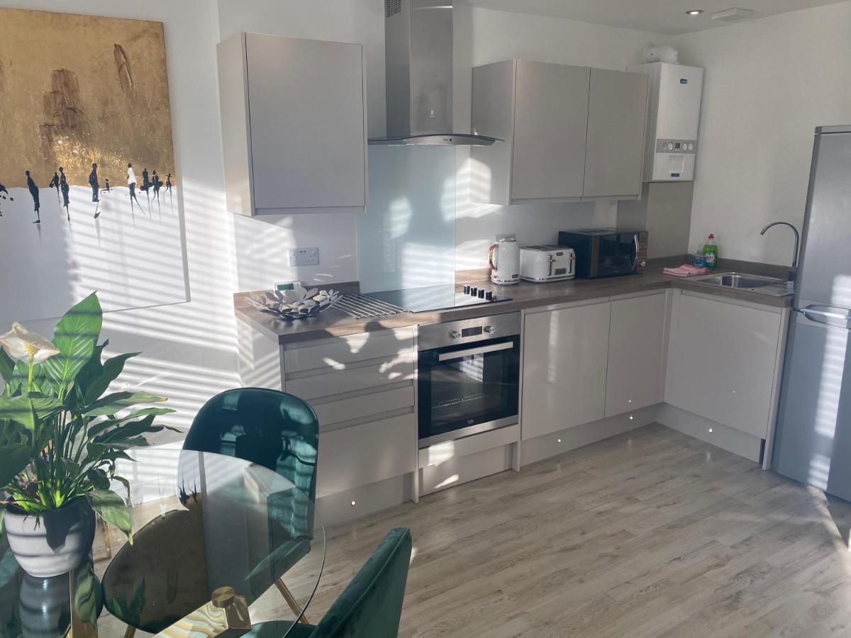 Stylish Pontcanna Flat Near City Centre 卡迪夫 外观 照片
